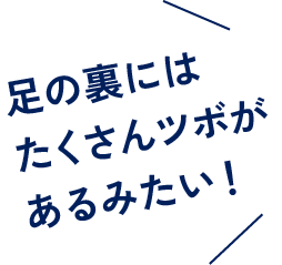 足の裏にはたくさんツボがあるみたい!
