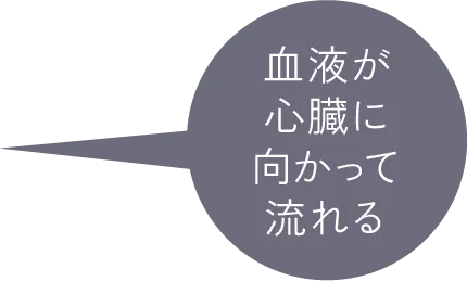 血液が心臓に向かって流れる
